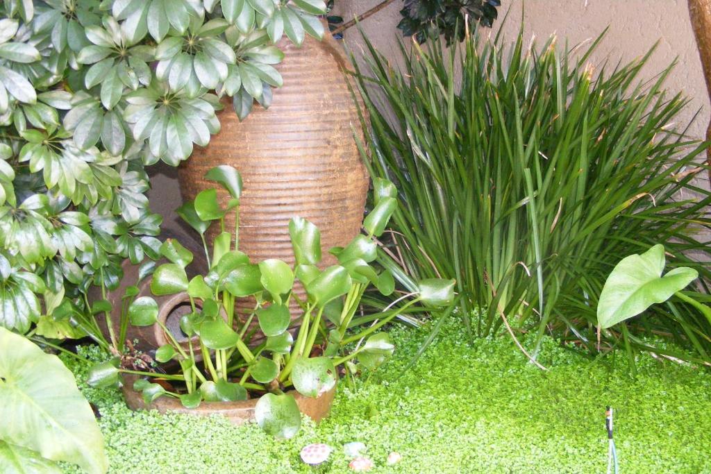 Hotel Linkside 2 Self-Catering Mossel Bay Exterior foto